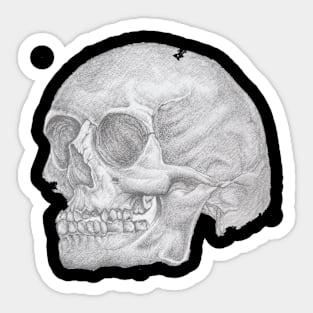 Skull Sticker